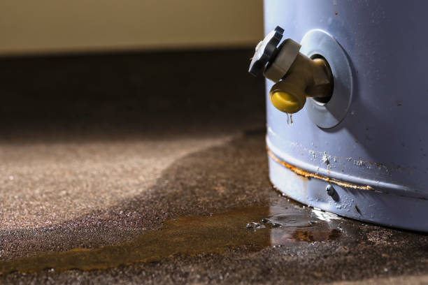 Best Sewage cleanup and water damage restoration  in Groveport, OH