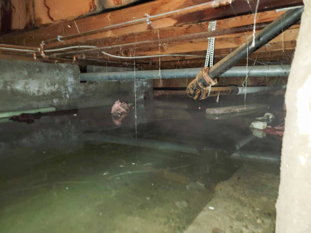 Best Emergency water damage restoration  in Groveport, OH