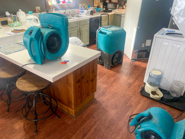 Best Water damage restoration insurance claims  in Groveport, OH