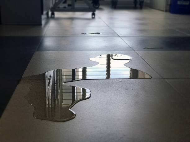 Best Commercial water damage restoration  in Groveport, OH
