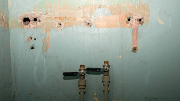 Best Residential water damage restoration  in Groveport, OH
